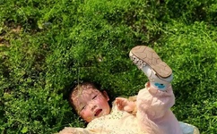 日本一区午夜艳熟免费